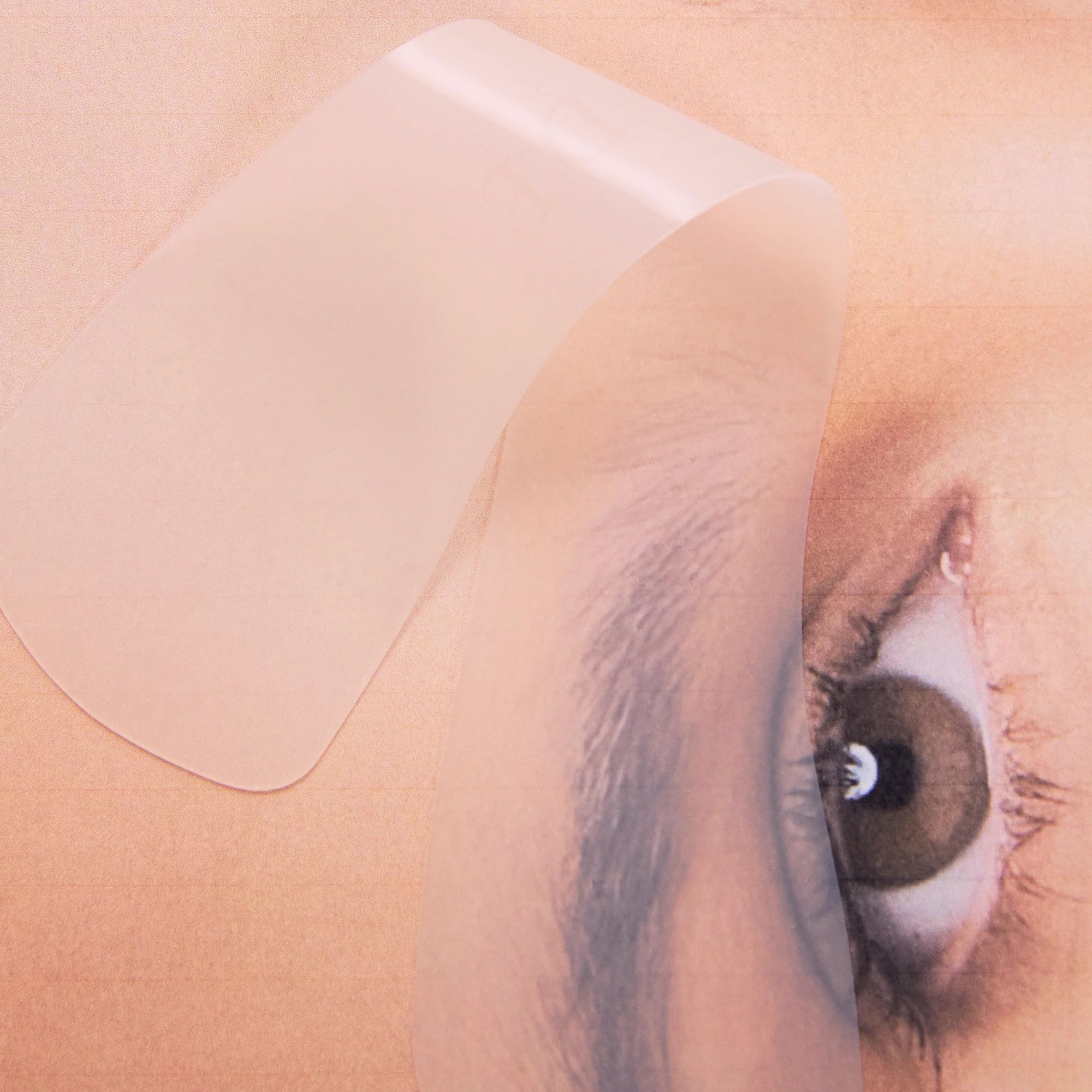 Sculpt & Seal Reusable Brow Wrap